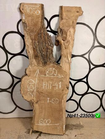 Слэб карагача