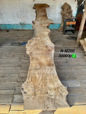 Слэб капового тополя