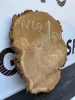 Спил 